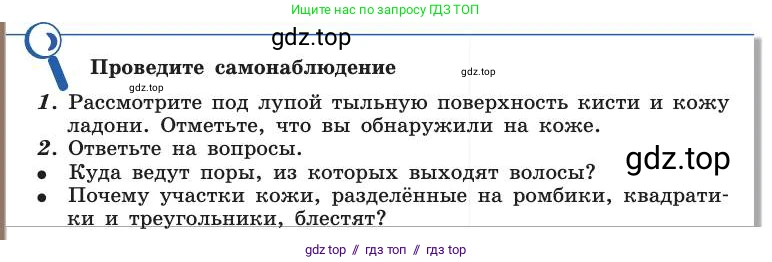 Биология, 8 класс Учебник, авторы: Пасечник Владимир Васильевич, Каменский Андрей Александрович, Швецов Глеб Геннадьевич, издательство Просвещение, Москва, 2019, страница 160, Условие