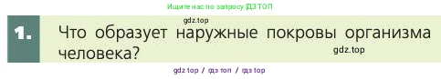 Биология, 8 класс Учебник, авторы: Пасечник Владимир Васильевич, Каменский Андрей Александрович, Швецов Глеб Геннадьевич, издательство Просвещение, Москва, 2019, страница 161, номер 1, Условие