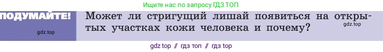 Биология, 8 класс Учебник, авторы: Пасечник Владимир Васильевич, Каменский Андрей Александрович, Швецов Глеб Геннадьевич, издательство Просвещение, Москва, 2019, страница 165, Условие