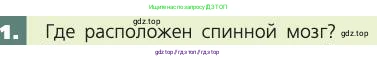 Биология, 8 класс Учебник, авторы: Пасечник Владимир Васильевич, Каменский Андрей Александрович, Швецов Глеб Геннадьевич, издательство Просвещение, Москва, 2019, страница 181, номер 1, Условие