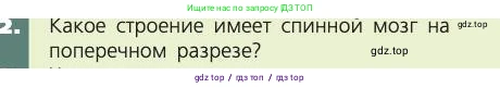 Биология, 8 класс Учебник, авторы: Пасечник Владимир Васильевич, Каменский Андрей Александрович, Швецов Глеб Геннадьевич, издательство Просвещение, Москва, 2019, страница 181, номер 2, Условие