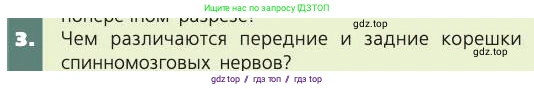 Биология, 8 класс Учебник, авторы: Пасечник Владимир Васильевич, Каменский Андрей Александрович, Швецов Глеб Геннадьевич, издательство Просвещение, Москва, 2019, страница 181, номер 3, Условие