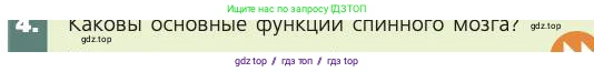 Биология, 8 класс Учебник, авторы: Пасечник Владимир Васильевич, Каменский Андрей Александрович, Швецов Глеб Геннадьевич, издательство Просвещение, Москва, 2019, страница 181, номер 4, Условие