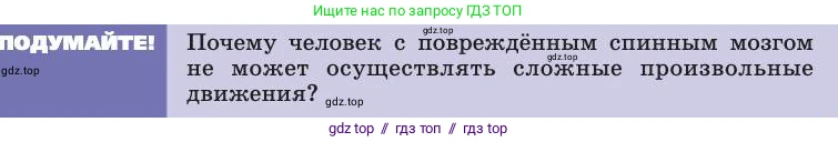 Биология, 8 класс Учебник, авторы: Пасечник Владимир Васильевич, Каменский Андрей Александрович, Швецов Глеб Геннадьевич, издательство Просвещение, Москва, 2019, страница 181, Условие