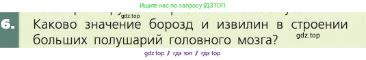 Биология, 8 класс Учебник, авторы: Пасечник Владимир Васильевич, Каменский Андрей Александрович, Швецов Глеб Геннадьевич, издательство Просвещение, Москва, 2019, страница 185, номер 6, Условие