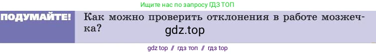 Биология, 8 класс Учебник, авторы: Пасечник Владимир Васильевич, Каменский Андрей Александрович, Швецов Глеб Геннадьевич, издательство Просвещение, Москва, 2019, страница 185, Условие