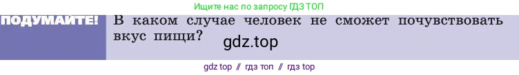 Биология, 8 класс Учебник, авторы: Пасечник Владимир Васильевич, Каменский Андрей Александрович, Швецов Глеб Геннадьевич, издательство Просвещение, Москва, 2019, страница 203, Условие