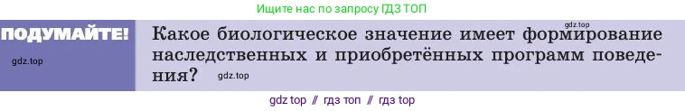 Биология, 8 класс Учебник, авторы: Пасечник Владимир Васильевич, Каменский Андрей Александрович, Швецов Глеб Геннадьевич, издательство Просвещение, Москва, 2019, страница 215, Условие