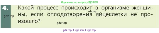 Биология, 8 класс Учебник, авторы: Пасечник Владимир Васильевич, Каменский Андрей Александрович, Швецов Глеб Геннадьевич, издательство Просвещение, Москва, 2019, страница 229, номер 4, Условие