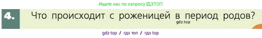 Биология, 8 класс Учебник, авторы: Пасечник Владимир Васильевич, Каменский Андрей Александрович, Швецов Глеб Геннадьевич, издательство Просвещение, Москва, 2019, страница 233, номер 4, Условие