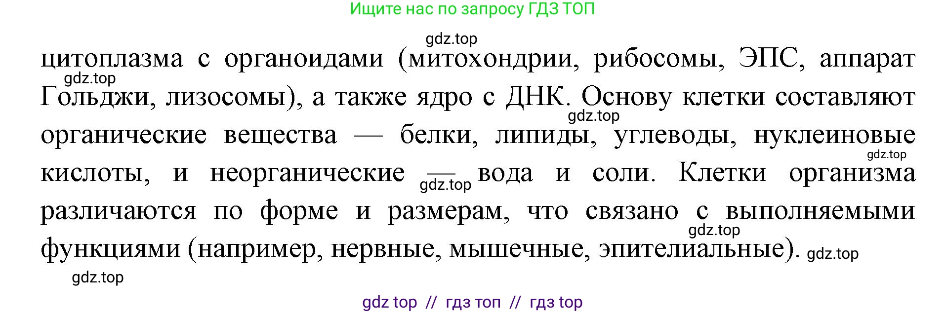 Биология, 8 класс Учебник, авторы: Пасечник Владимир Васильевич, Каменский Андрей Александрович, Швецов Глеб Геннадьевич, издательство Просвещение, Москва, 2019, страница 20, номер 3, Решение (продолжение 2)