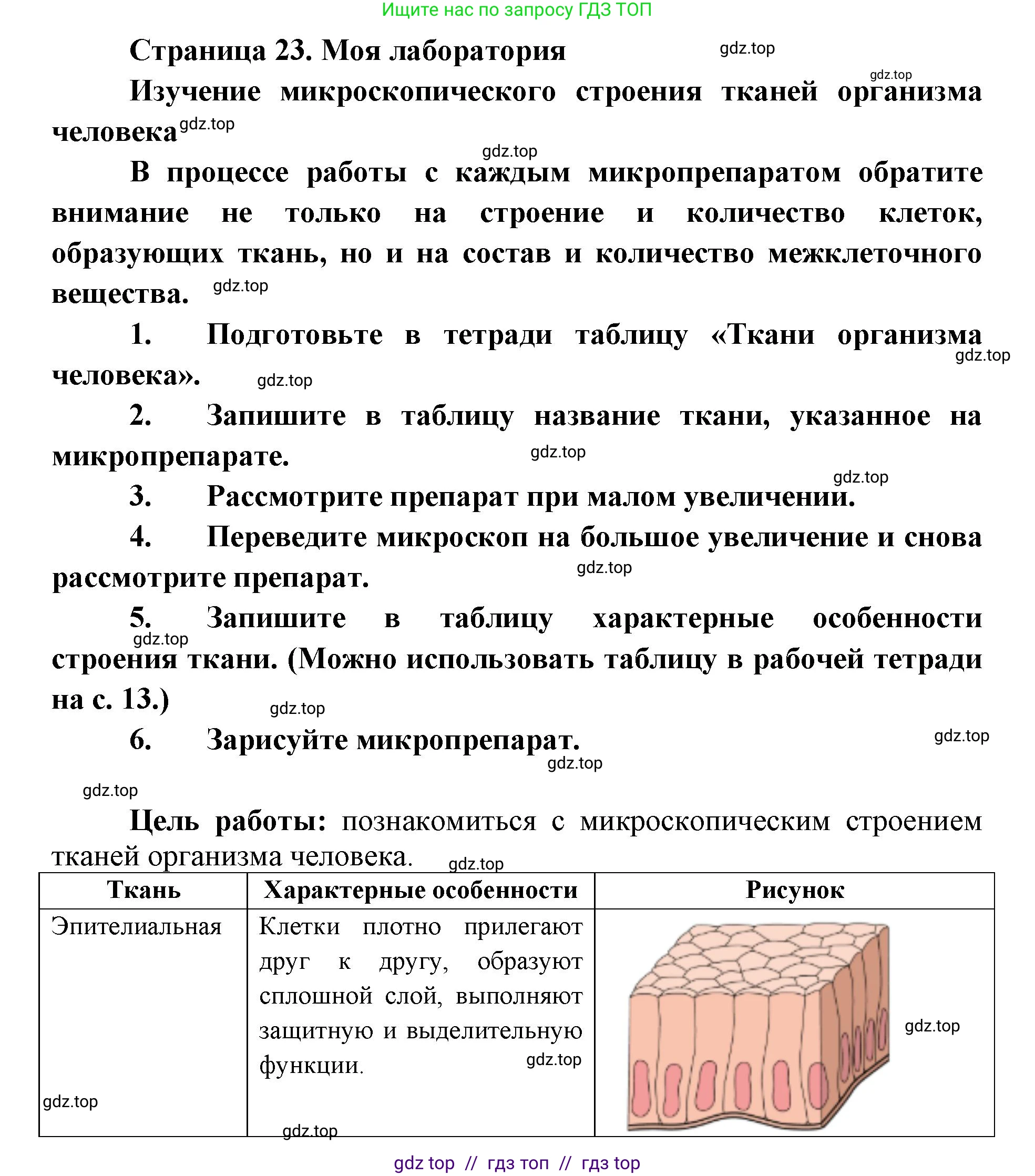 Биология, 8 класс Учебник, авторы: Пасечник Владимир Васильевич, Каменский Андрей Александрович, Швецов Глеб Геннадьевич, издательство Просвещение, Москва, 2019, страница 23, Решение