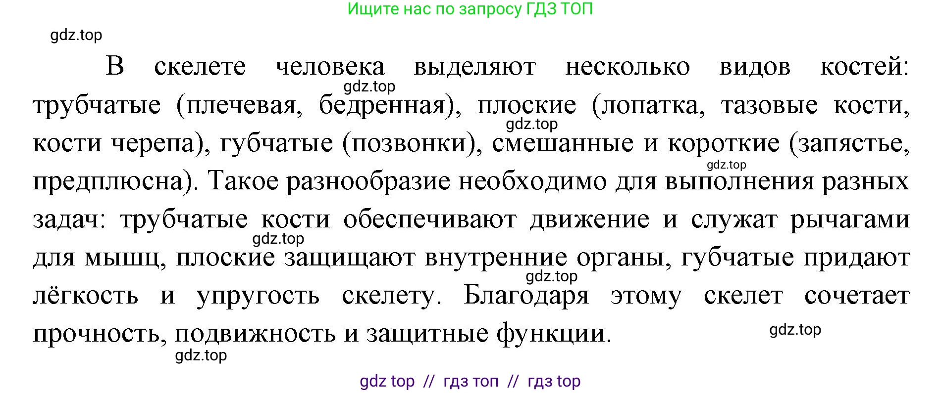 Биология, 8 класс Учебник, авторы: Пасечник Владимир Васильевич, Каменский Андрей Александрович, Швецов Глеб Геннадьевич, издательство Просвещение, Москва, 2019, страница 35, номер 4, Решение (продолжение 2)