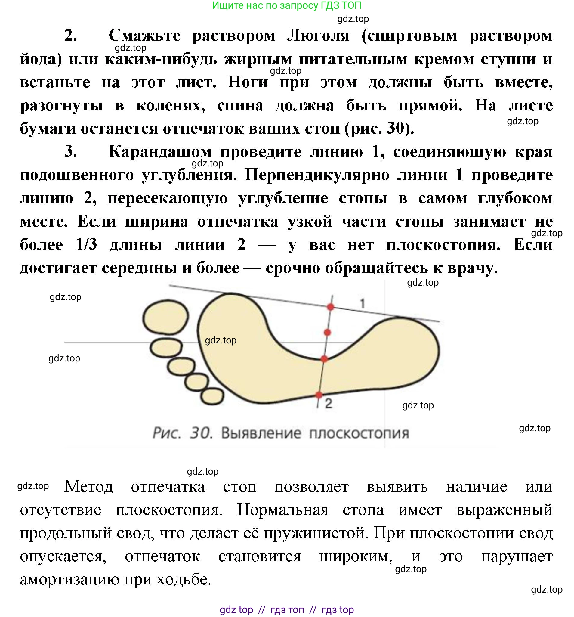 Биология, 8 класс Учебник, авторы: Пасечник Владимир Васильевич, Каменский Андрей Александрович, Швецов Глеб Геннадьевич, издательство Просвещение, Москва, 2019, страница 57, Решение (продолжение 2)