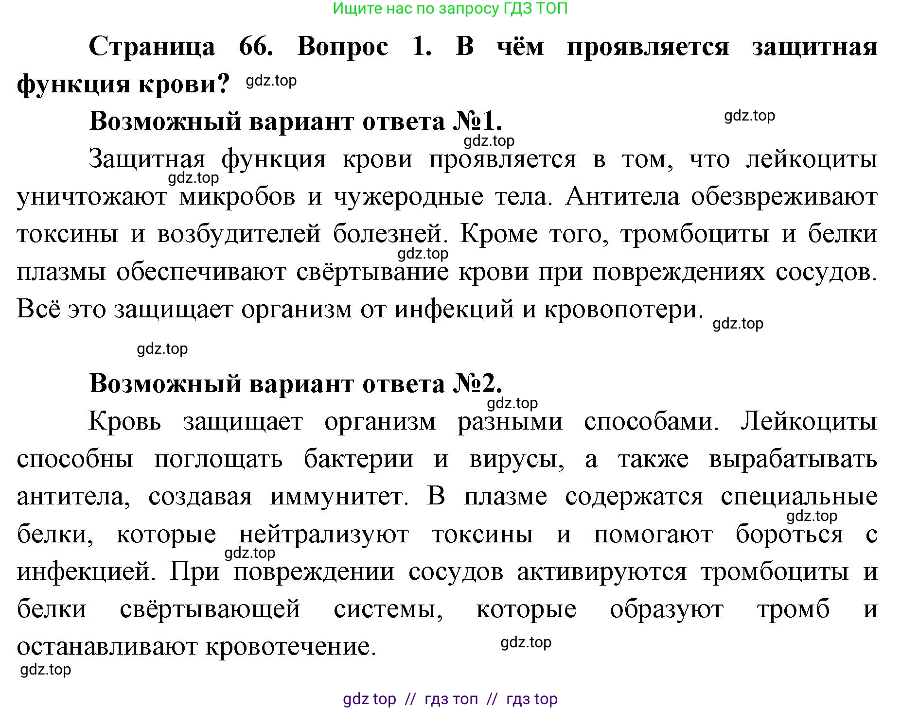 Биология, 8 класс Учебник, авторы: Пасечник Владимир Васильевич, Каменский Андрей Александрович, Швецов Глеб Геннадьевич, издательство Просвещение, Москва, 2019, страница 66, номер 1, Решение