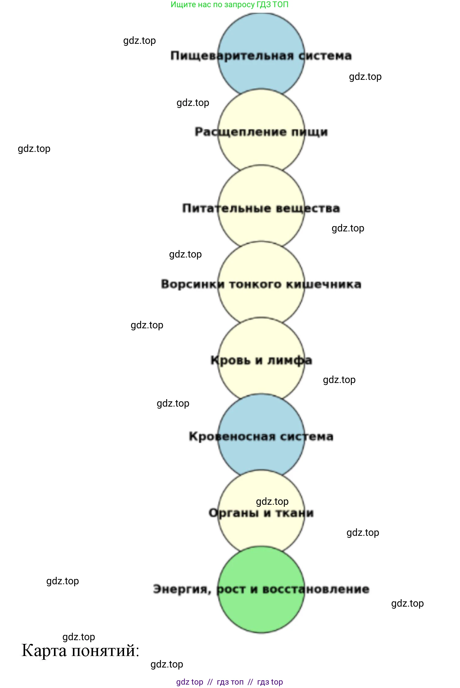 Биология, 8 класс Учебник, авторы: Пасечник Владимир Васильевич, Каменский Андрей Александрович, Швецов Глеб Геннадьевич, издательство Просвещение, Москва, 2019, страница 125, номер 1, Решение (продолжение 2)