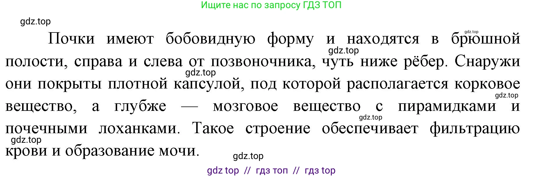 Биология, 8 класс Учебник, авторы: Пасечник Владимир Васильевич, Каменский Андрей Александрович, Швецов Глеб Геннадьевич, издательство Просвещение, Москва, 2019, страница 153, номер 3, Решение (продолжение 2)