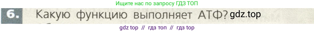 Биология, 9 класс Учебник, автор: Пасечник Владимир Васильевич, издательство Просвещение, Москва, 2019, страница 27, номер 6, Условие