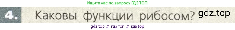 Биология, 9 класс Учебник, автор: Пасечник Владимир Васильевич, издательство Просвещение, Москва, 2019, страница 31, номер 4, Условие