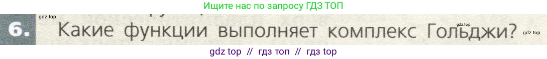 Биология, 9 класс Учебник, автор: Пасечник Владимир Васильевич, издательство Просвещение, Москва, 2019, страница 31, номер 6, Условие
