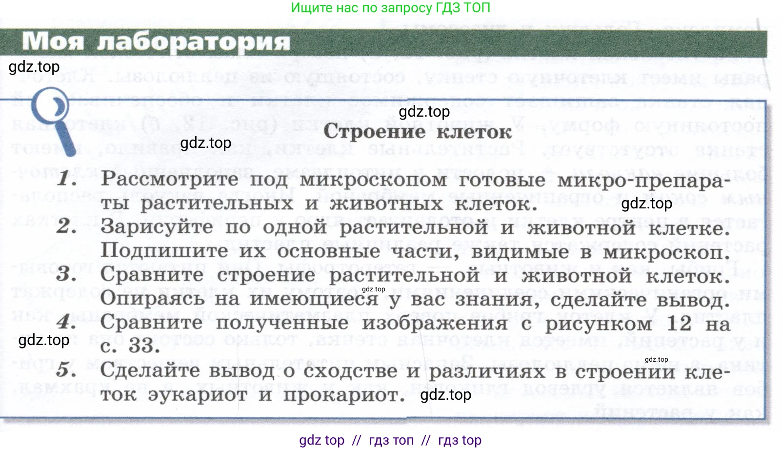 Биология, 9 класс Учебник, автор: Пасечник Владимир Васильевич, издательство Просвещение, Москва, 2019, страница 34, Условие