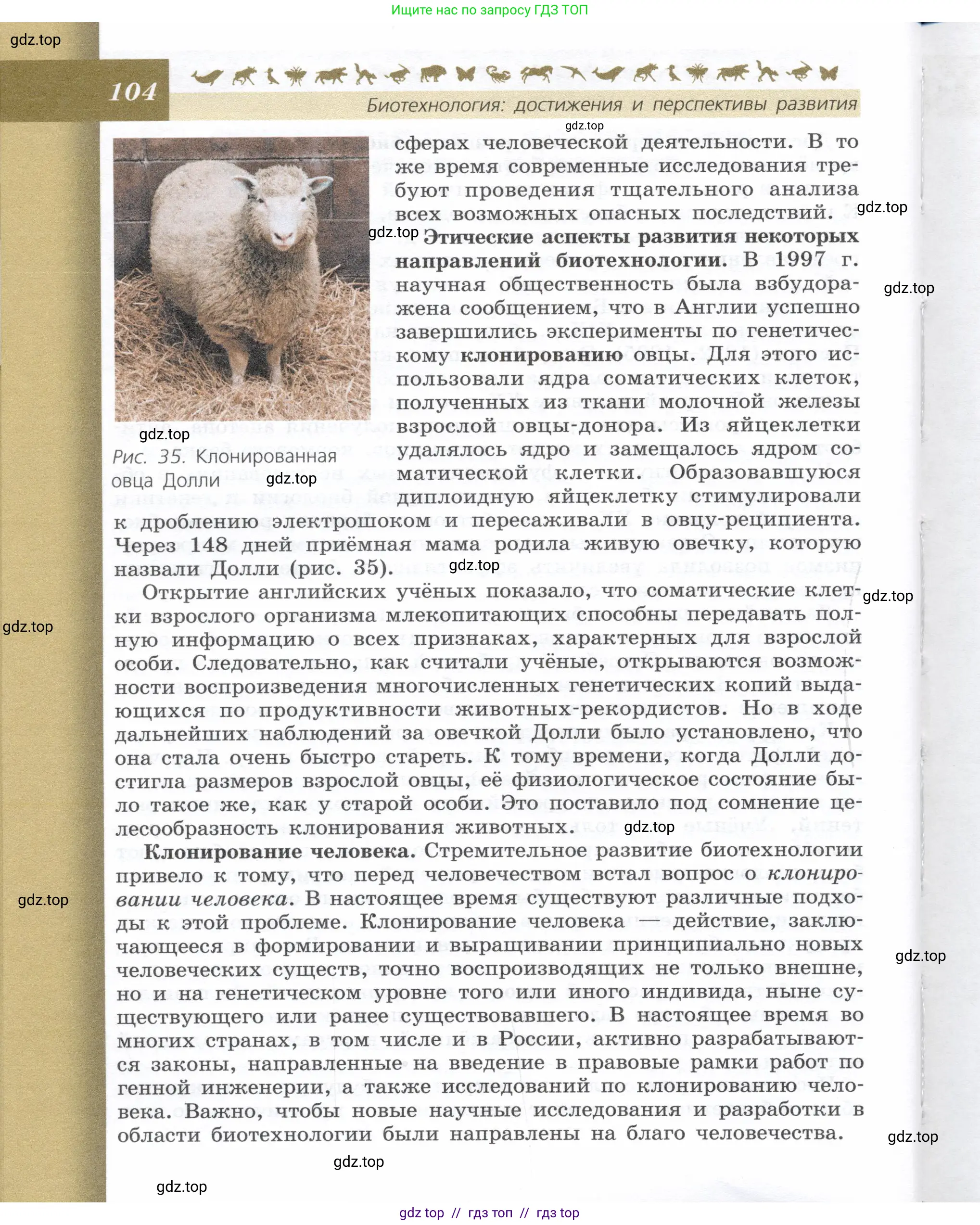 Биология, 9 класс Учебник, автор: Пасечник Владимир Васильевич, издательство Просвещение, Москва, 2019, страница 104