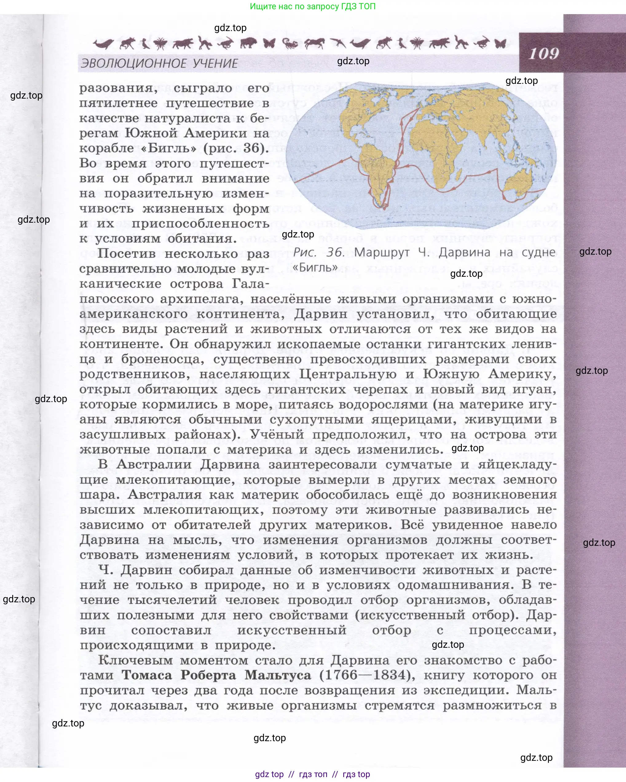 Биология, 9 класс Учебник, автор: Пасечник Владимир Васильевич, издательство Просвещение, Москва, 2019, страница 109