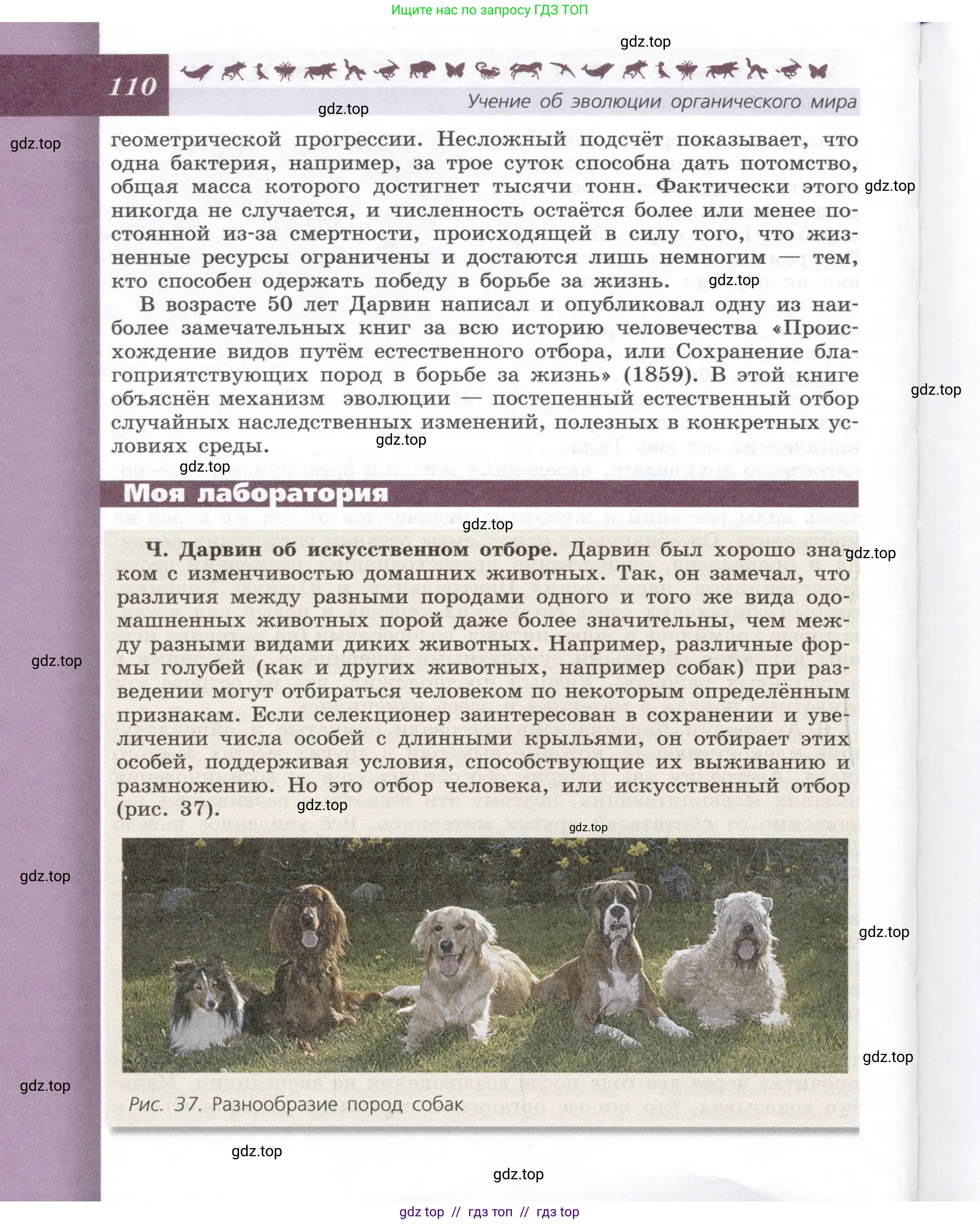 Биология, 9 класс Учебник, автор: Пасечник Владимир Васильевич, издательство Просвещение, Москва, 2019, страница 110