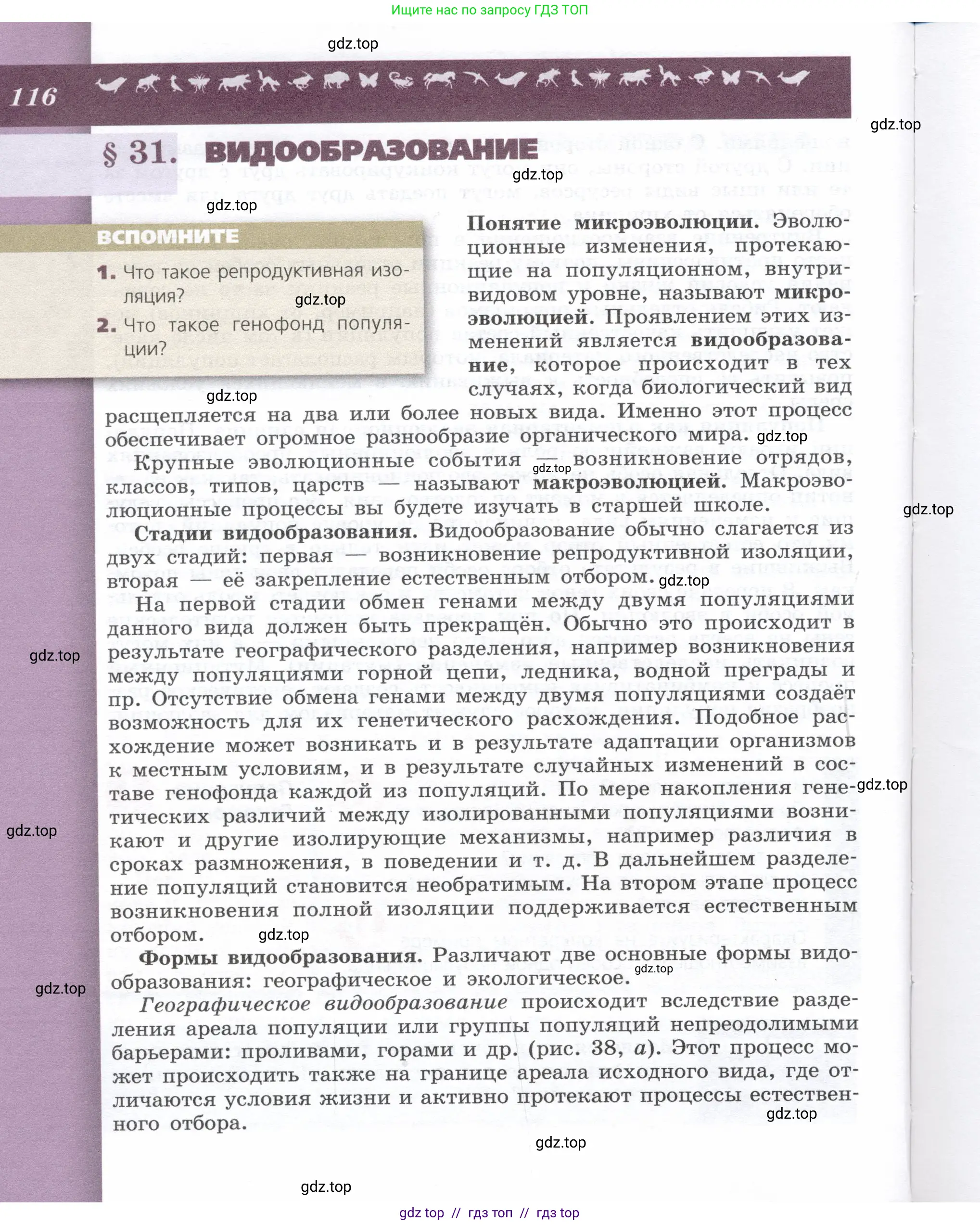 Биология, 9 класс Учебник, автор: Пасечник Владимир Васильевич, издательство Просвещение, Москва, 2019, страница 116