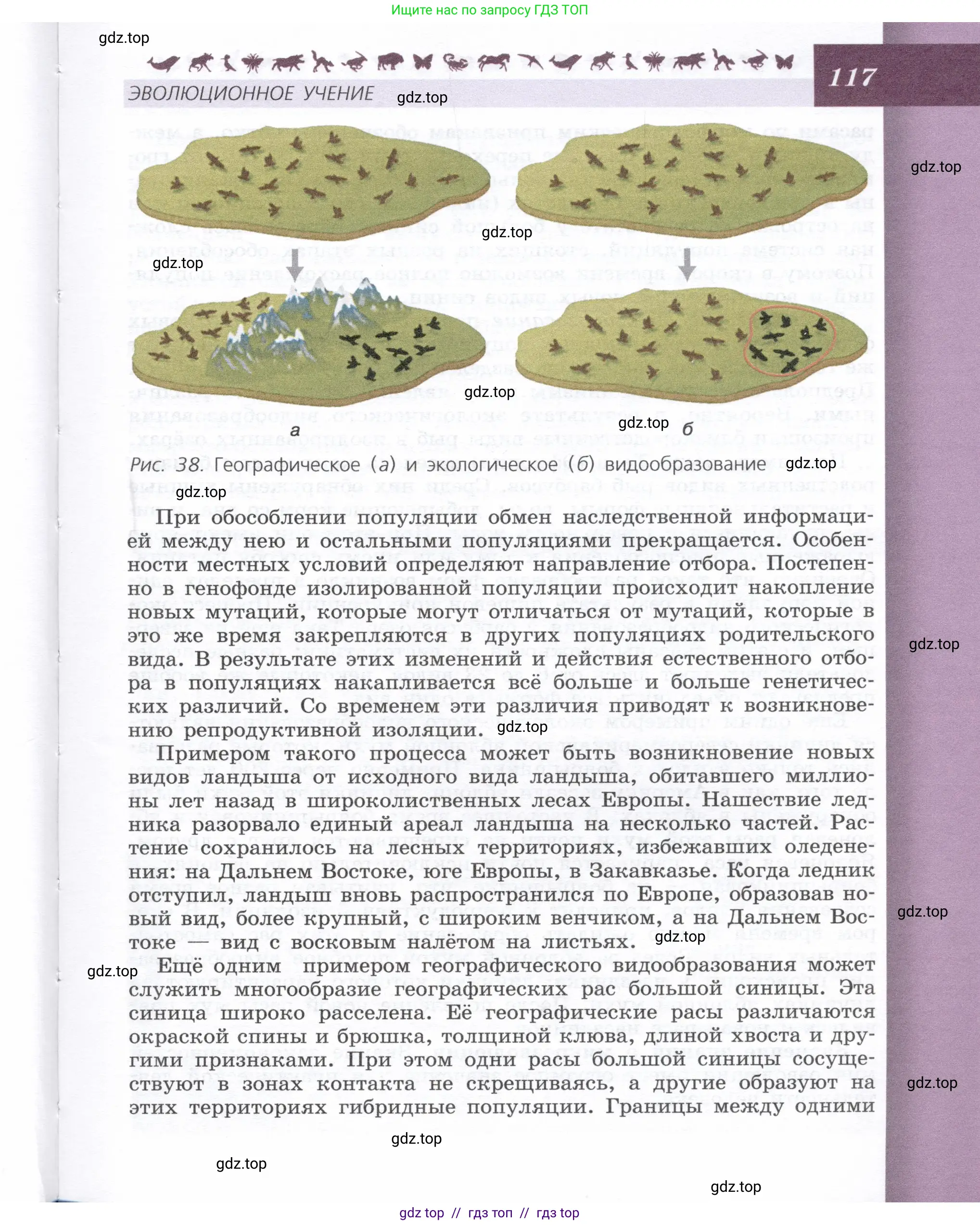 Биология, 9 класс Учебник, автор: Пасечник Владимир Васильевич, издательство Просвещение, Москва, 2019, страница 117