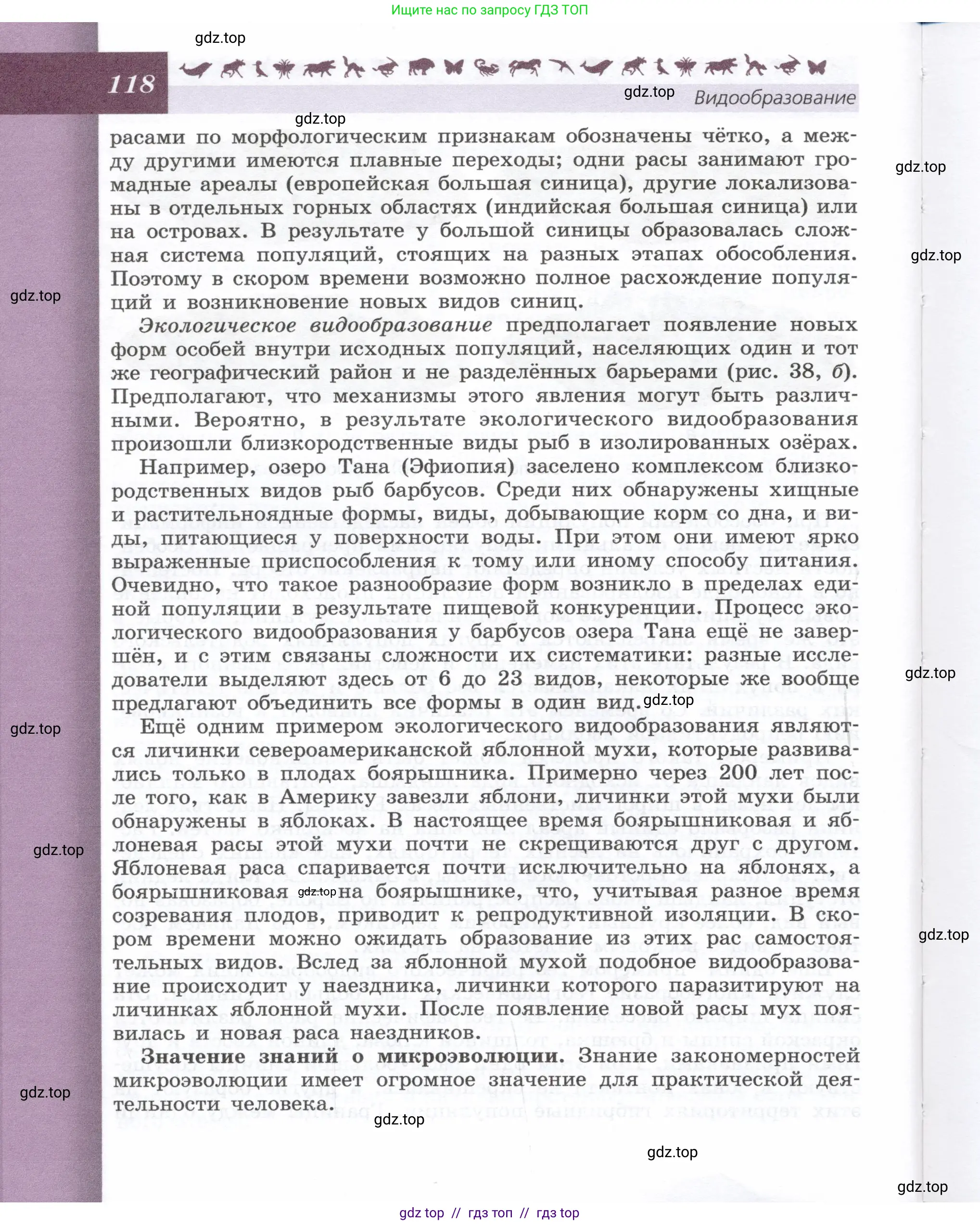 Биология, 9 класс Учебник, автор: Пасечник Владимир Васильевич, издательство Просвещение, Москва, 2019, страница 118