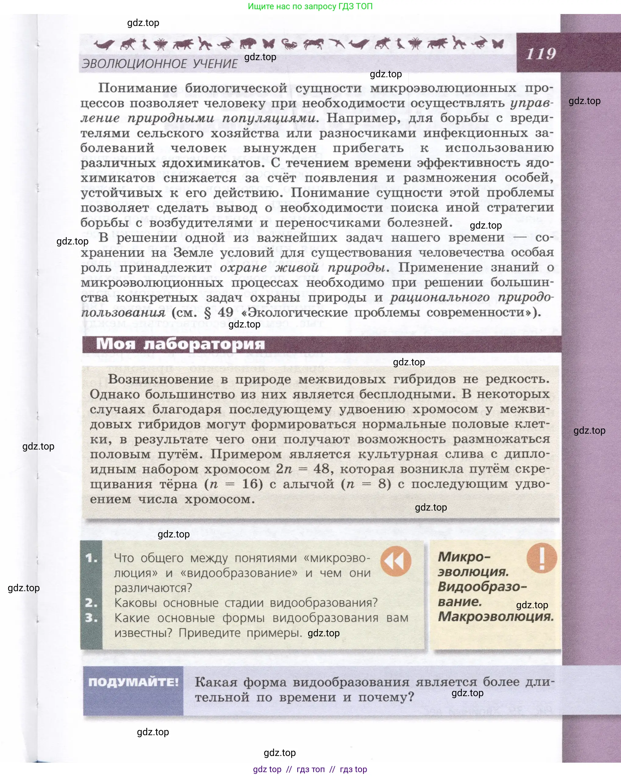 Биология, 9 класс Учебник, автор: Пасечник Владимир Васильевич, издательство Просвещение, Москва, 2019, страница 119