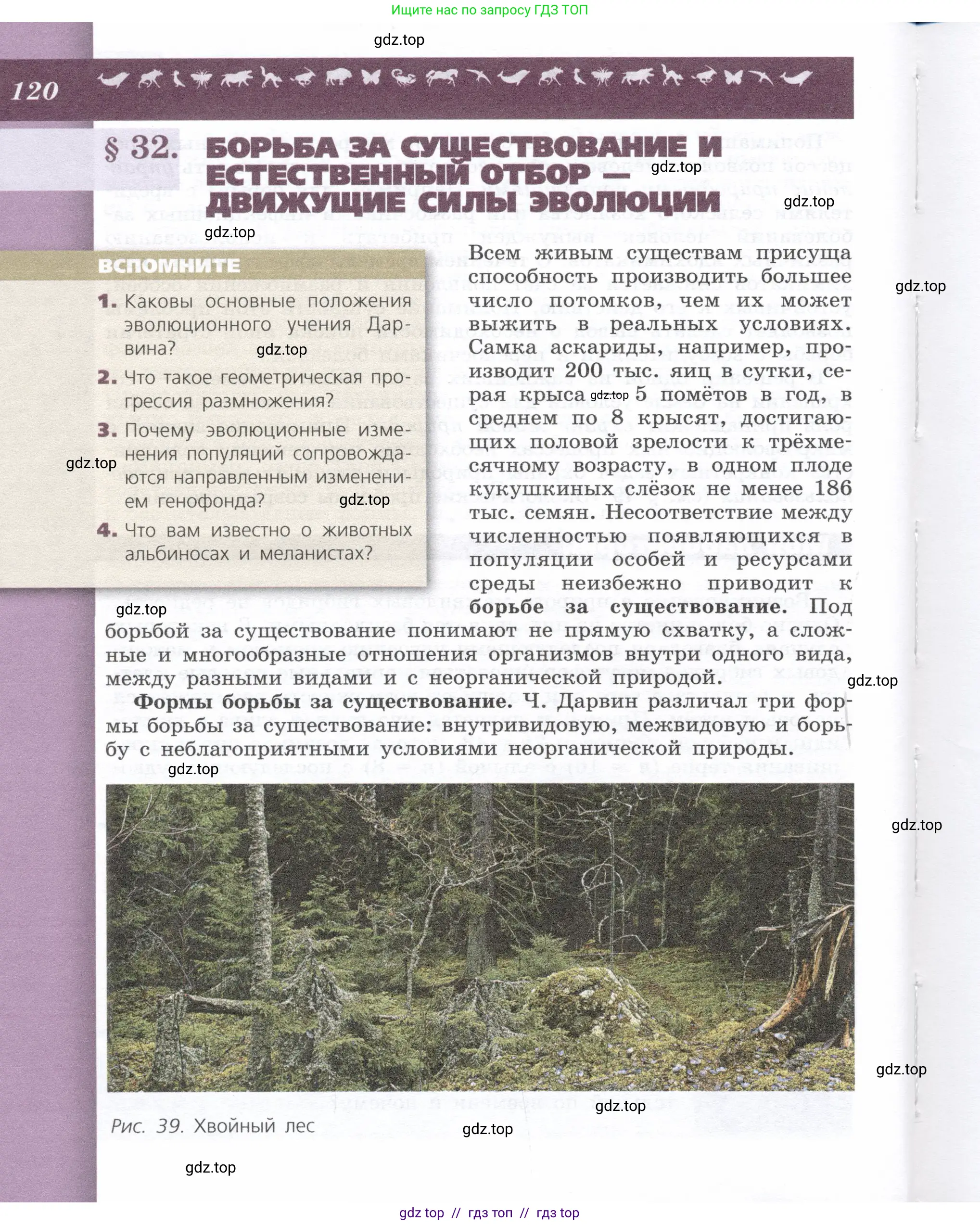 Биология, 9 класс Учебник, автор: Пасечник Владимир Васильевич, издательство Просвещение, Москва, 2019, страница 120