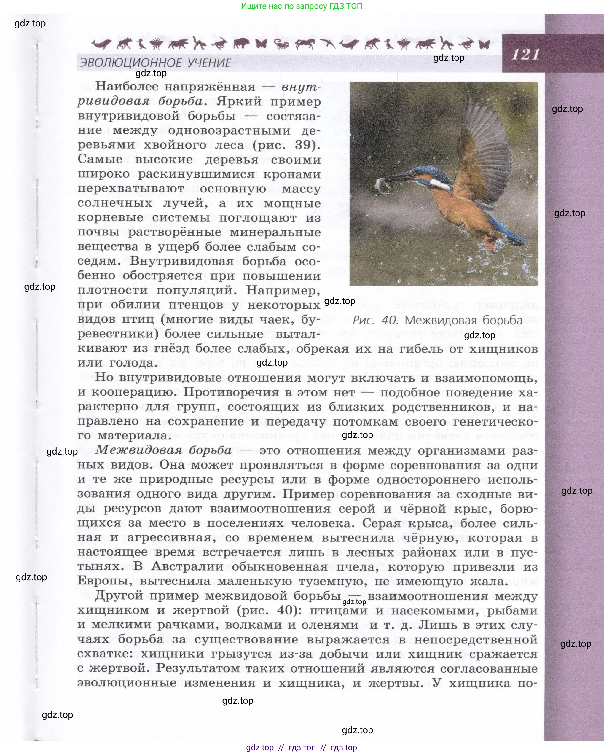 Биология, 9 класс Учебник, автор: Пасечник Владимир Васильевич, издательство Просвещение, Москва, 2019, страница 121