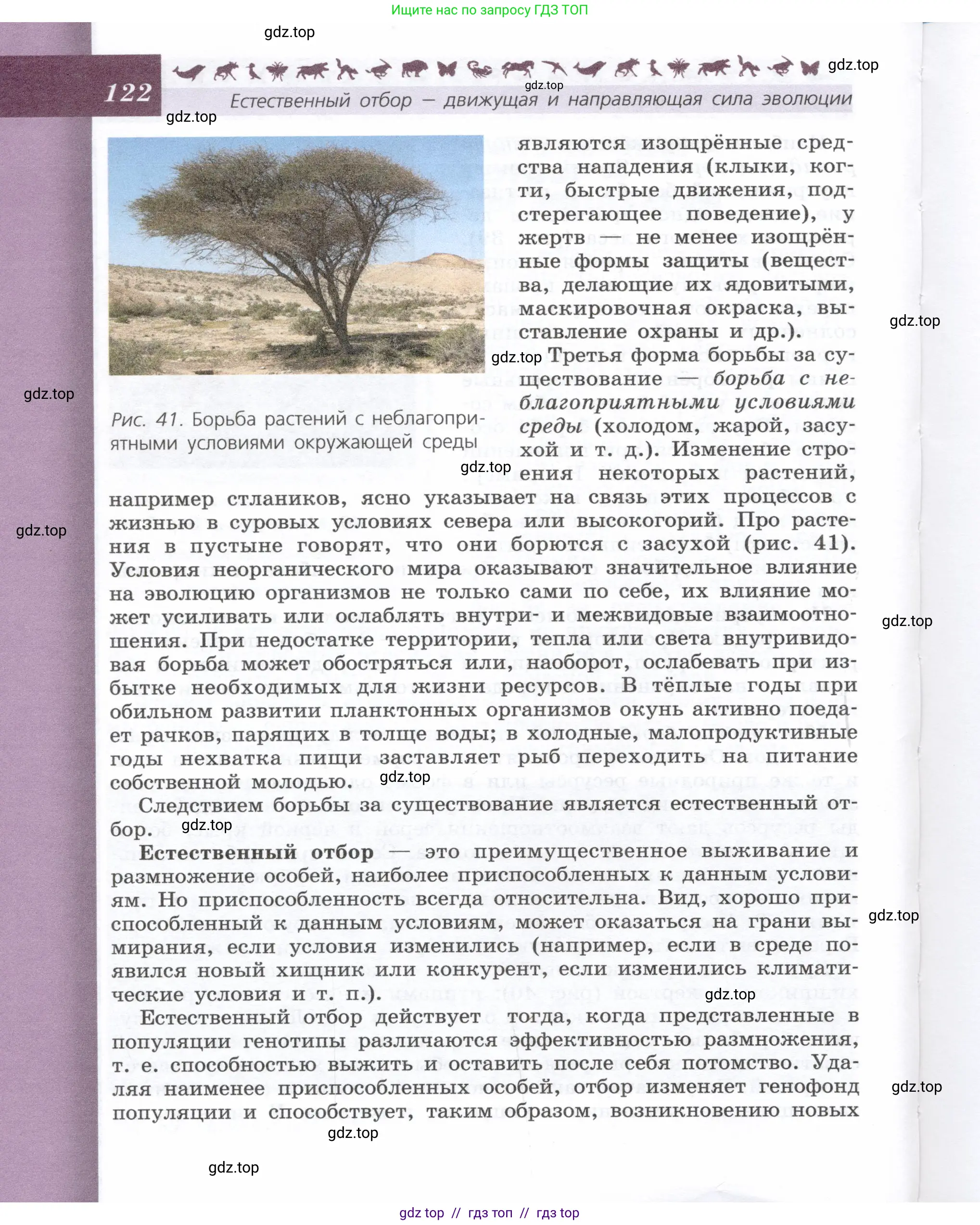 Биология, 9 класс Учебник, автор: Пасечник Владимир Васильевич, издательство Просвещение, Москва, 2019, страница 122