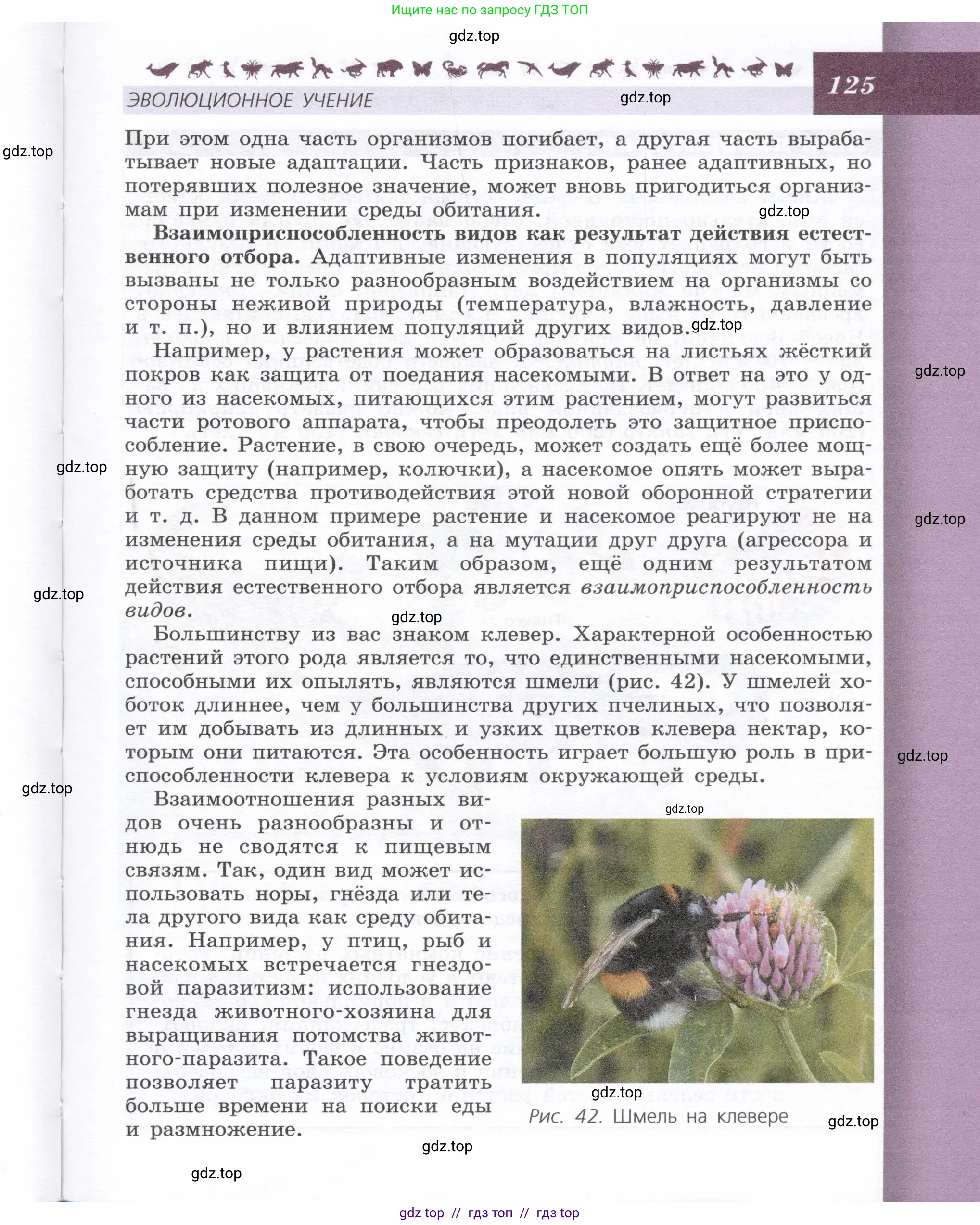 Биология, 9 класс Учебник, автор: Пасечник Владимир Васильевич, издательство Просвещение, Москва, 2019, страница 125