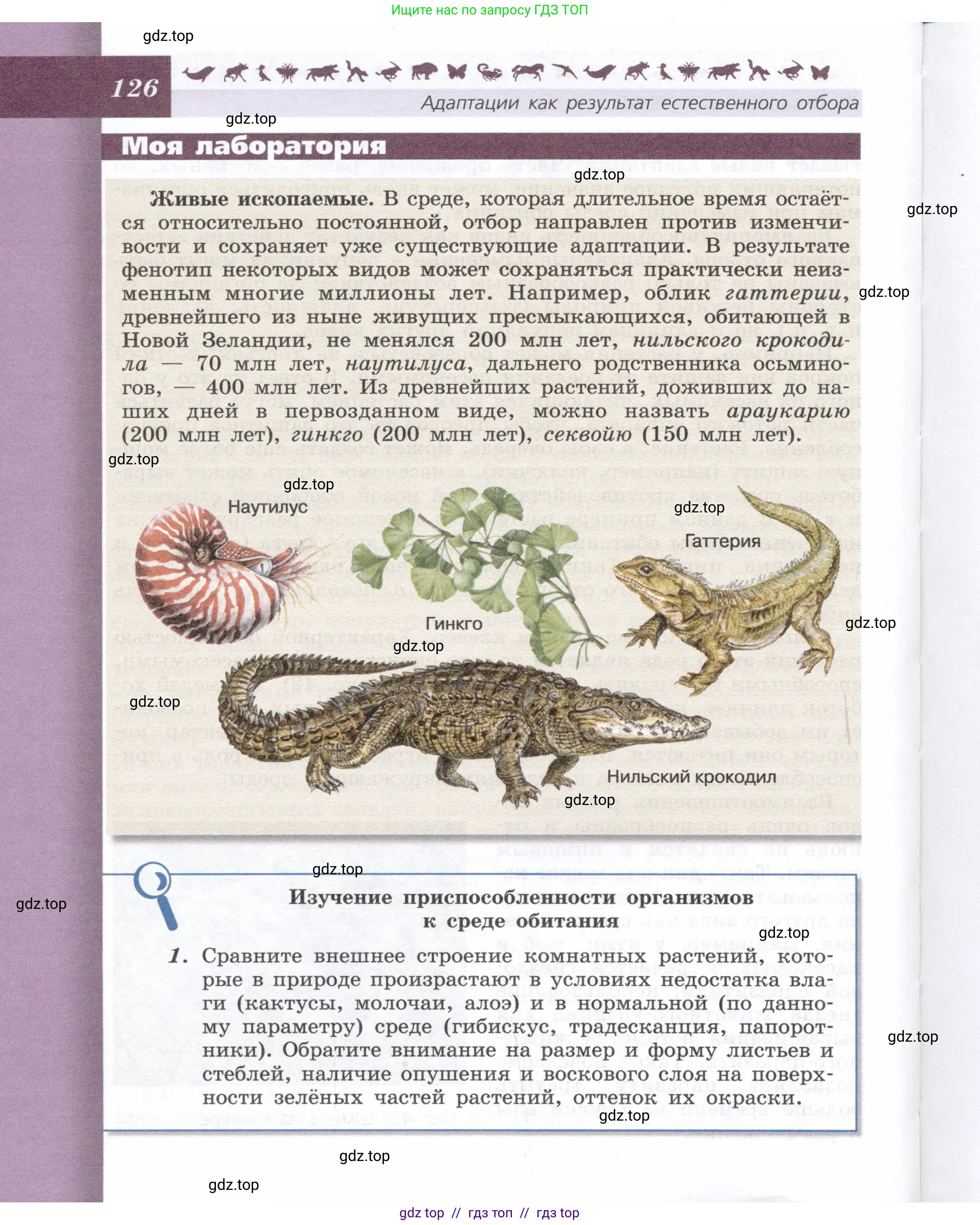 Биология, 9 класс Учебник, автор: Пасечник Владимир Васильевич, издательство Просвещение, Москва, 2019, страница 126