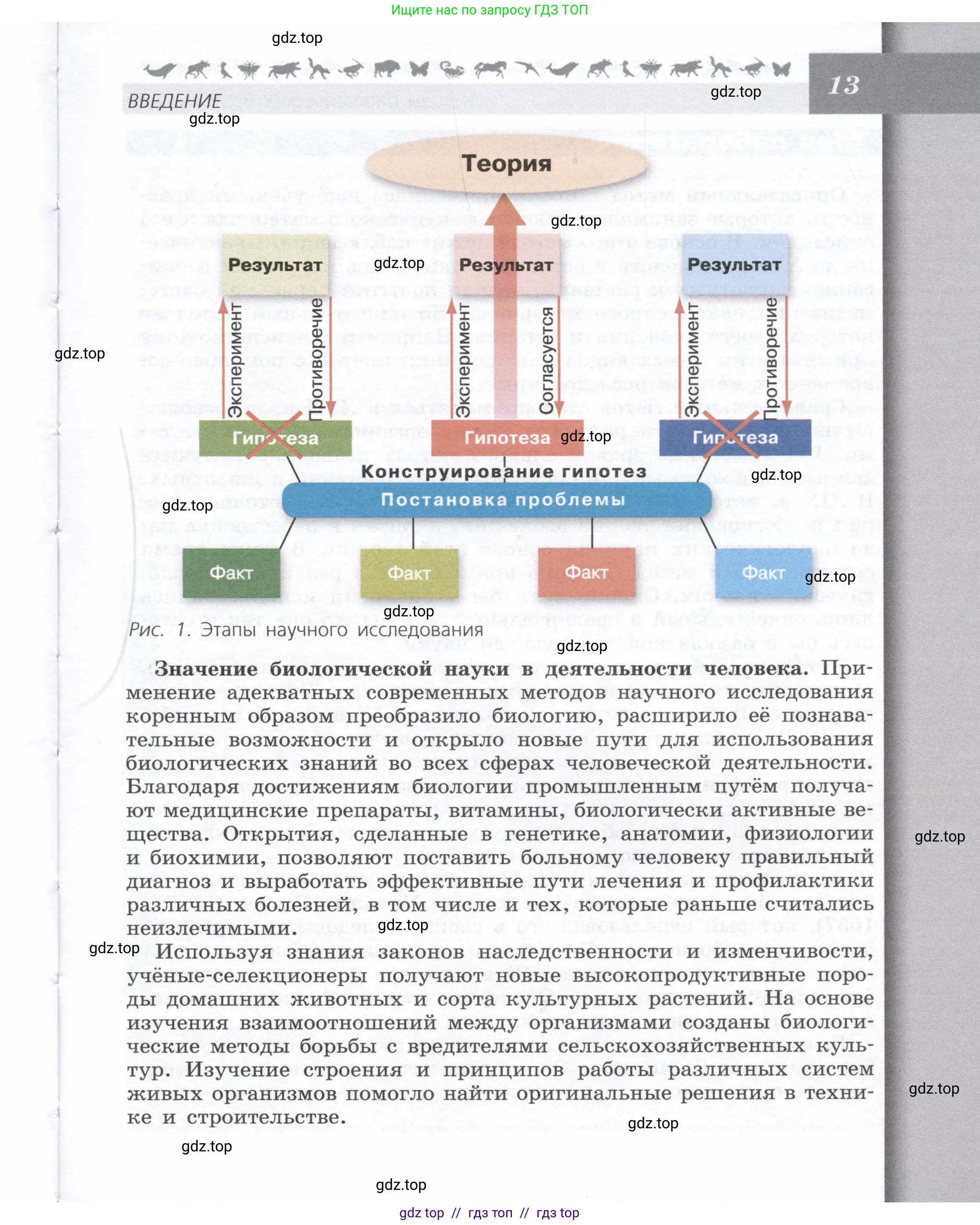 Биология, 9 класс Учебник, автор: Пасечник Владимир Васильевич, издательство Просвещение, Москва, 2019, страница 13