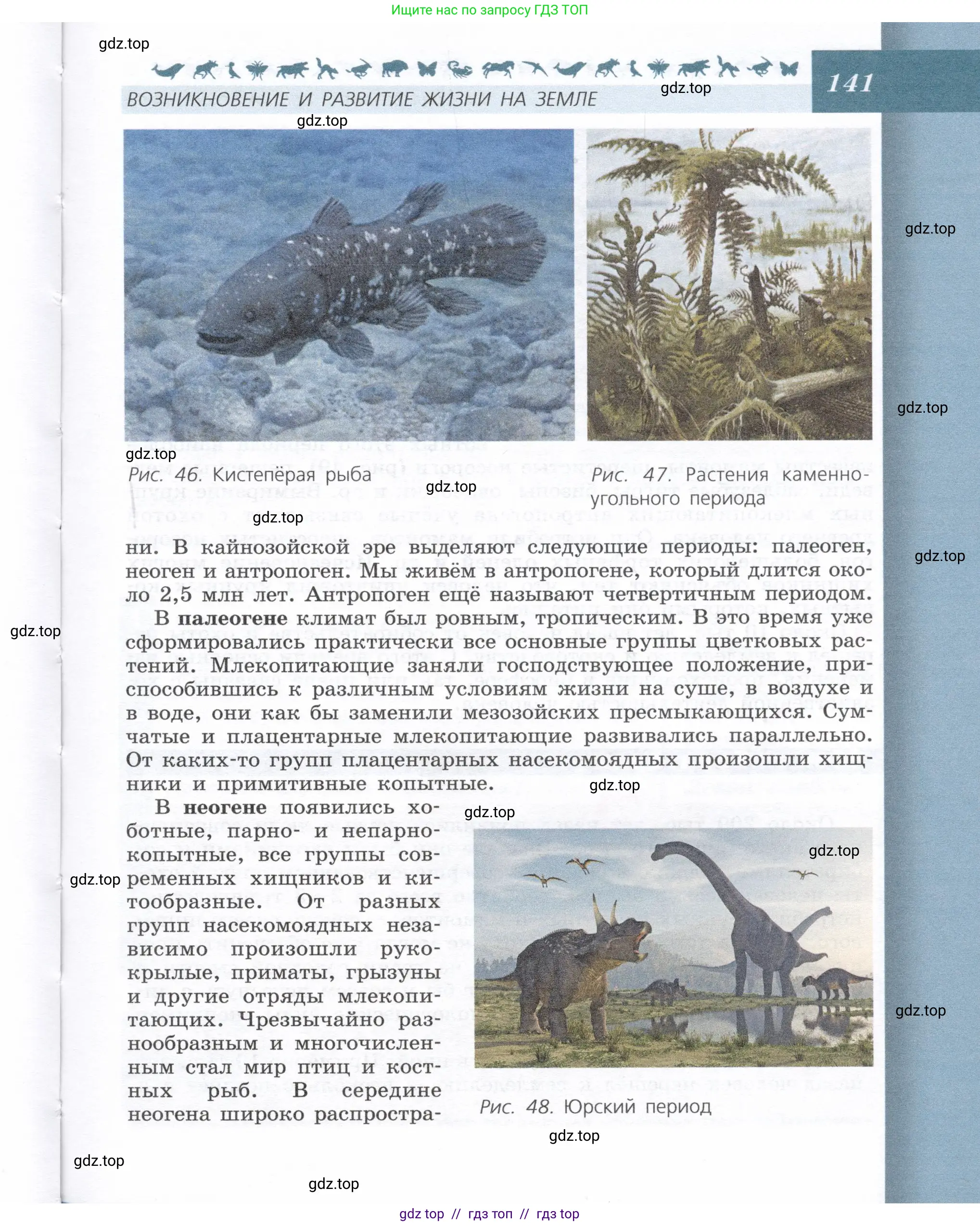 Биология, 9 класс Учебник, автор: Пасечник Владимир Васильевич, издательство Просвещение, Москва, 2019, страница 141