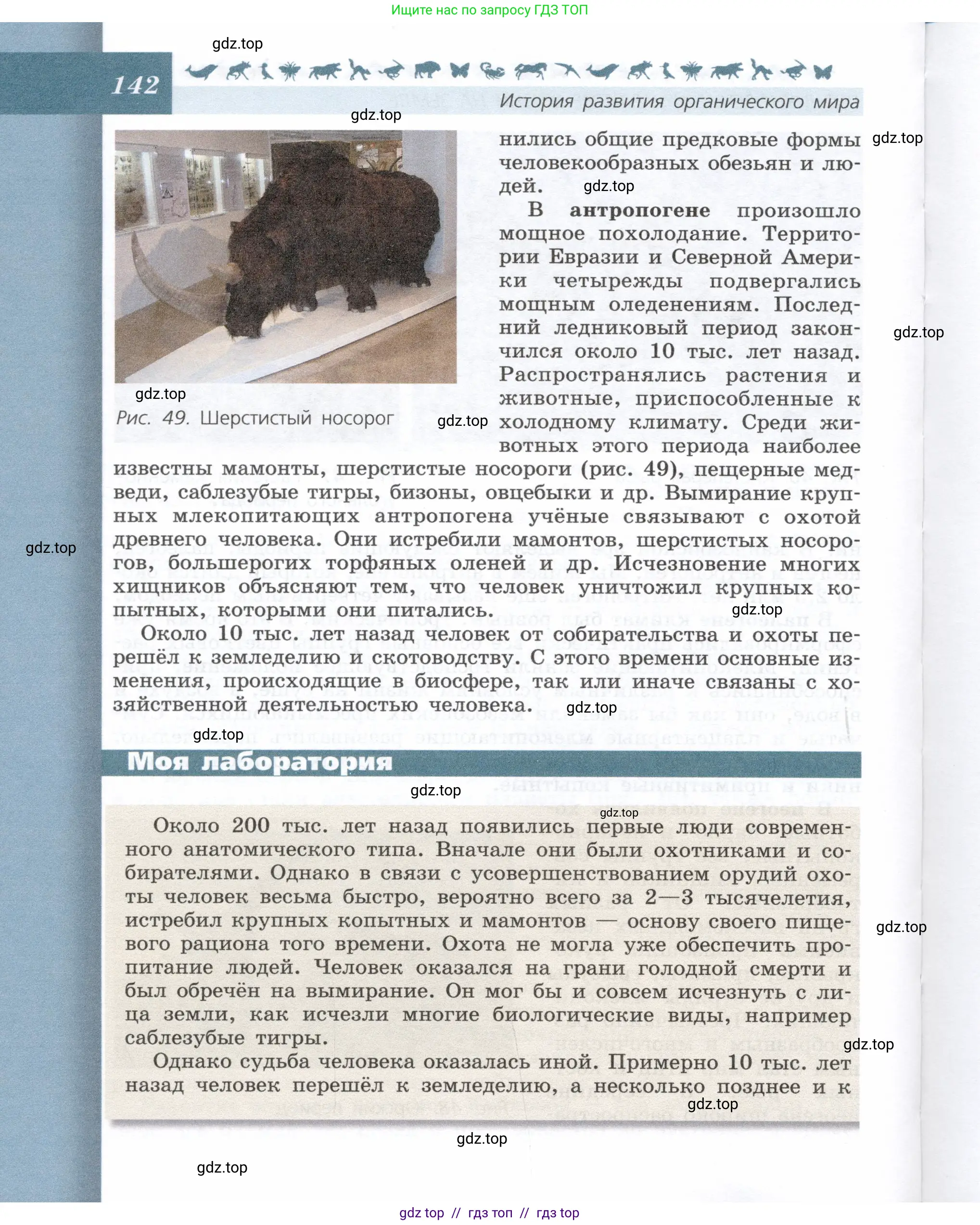 Биология, 9 класс Учебник, автор: Пасечник Владимир Васильевич, издательство Просвещение, Москва, 2019, страница 142
