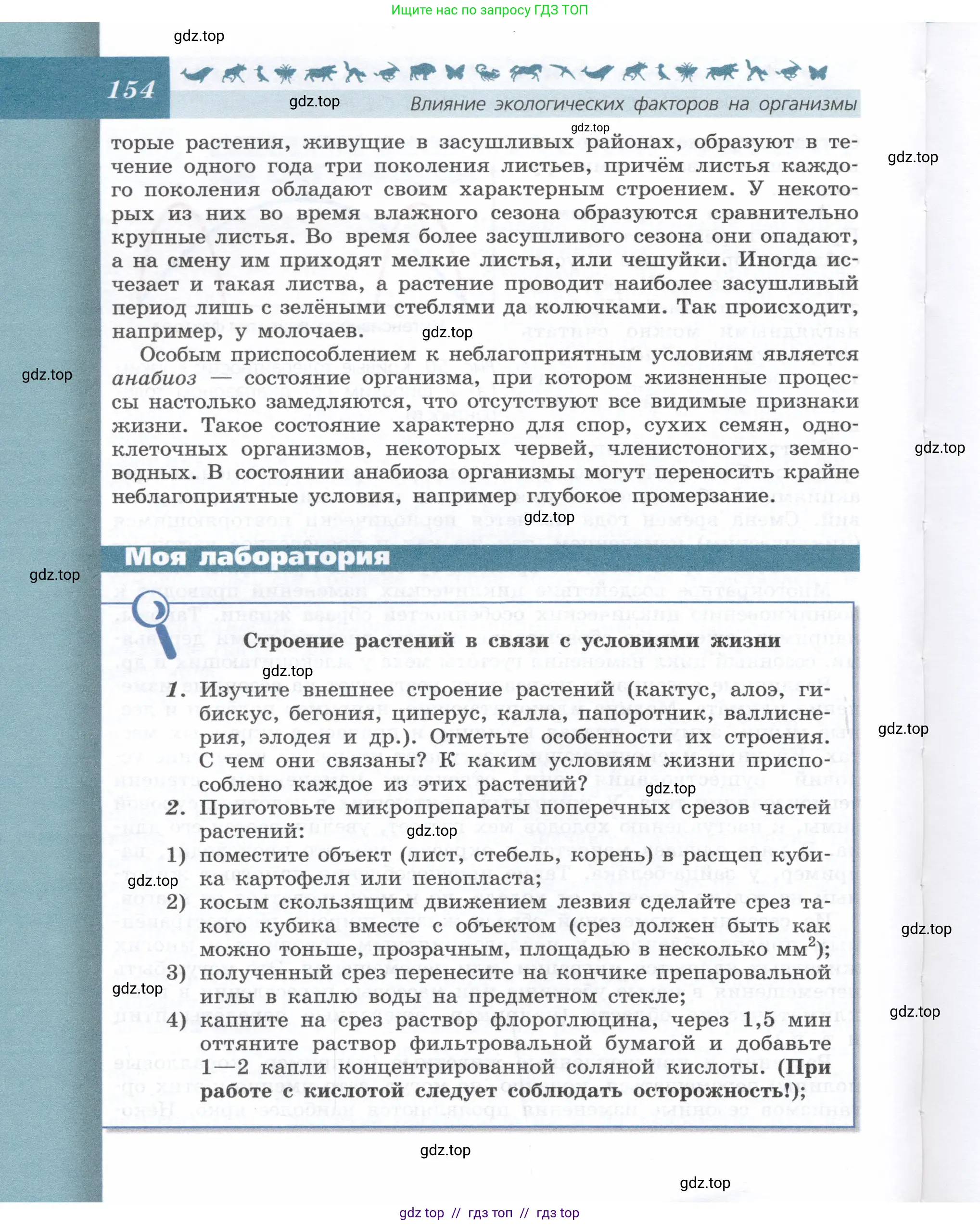 Биология, 9 класс Учебник, автор: Пасечник Владимир Васильевич, издательство Просвещение, Москва, 2019, страница 154