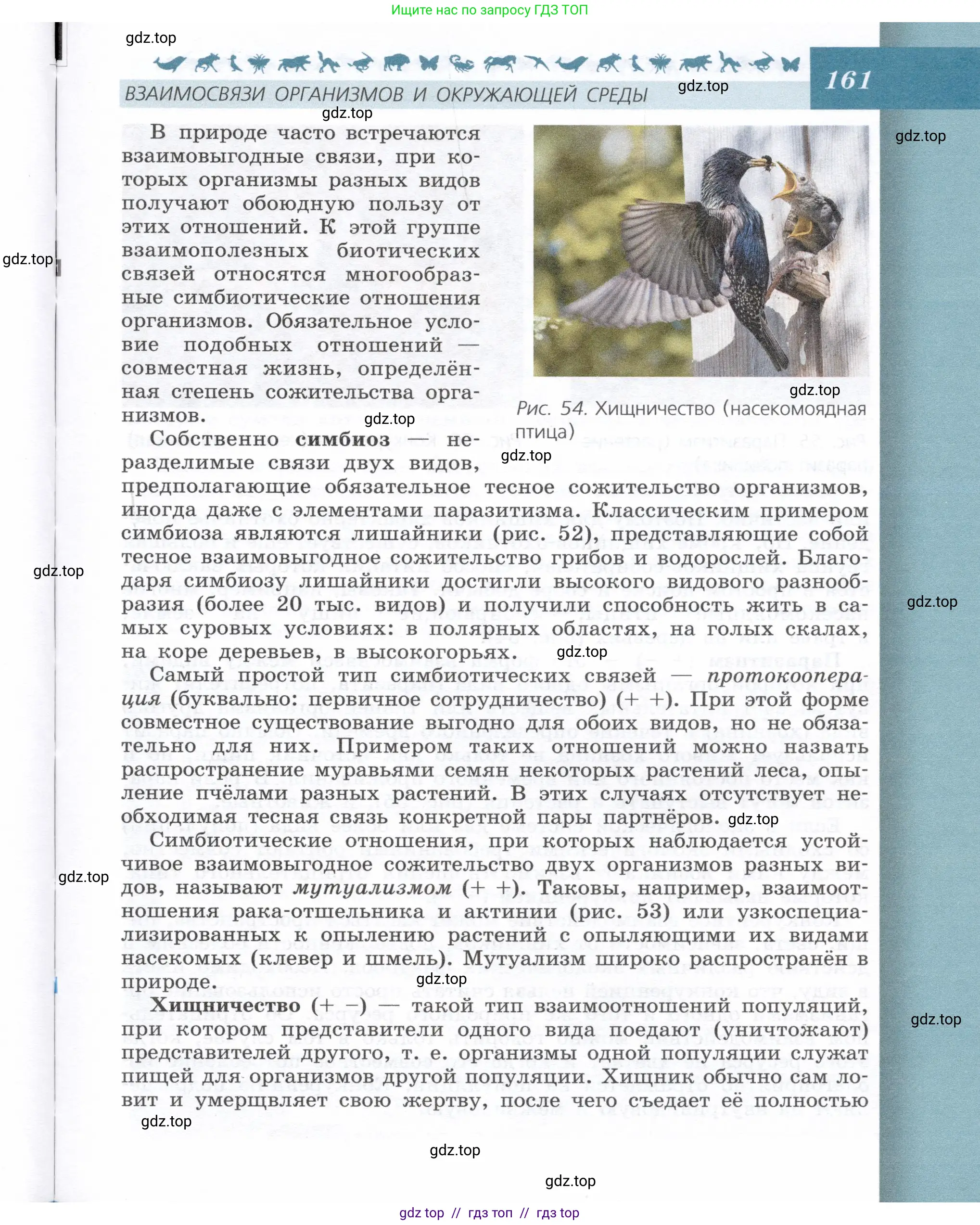 Биология, 9 класс Учебник, автор: Пасечник Владимир Васильевич, издательство Просвещение, Москва, 2019, страница 161