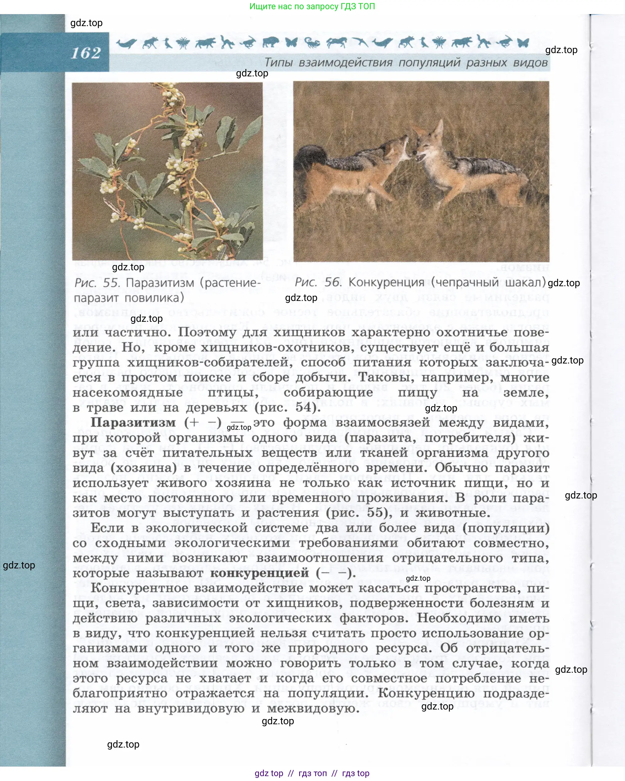 Биология, 9 класс Учебник, автор: Пасечник Владимир Васильевич, издательство Просвещение, Москва, 2019, страница 162