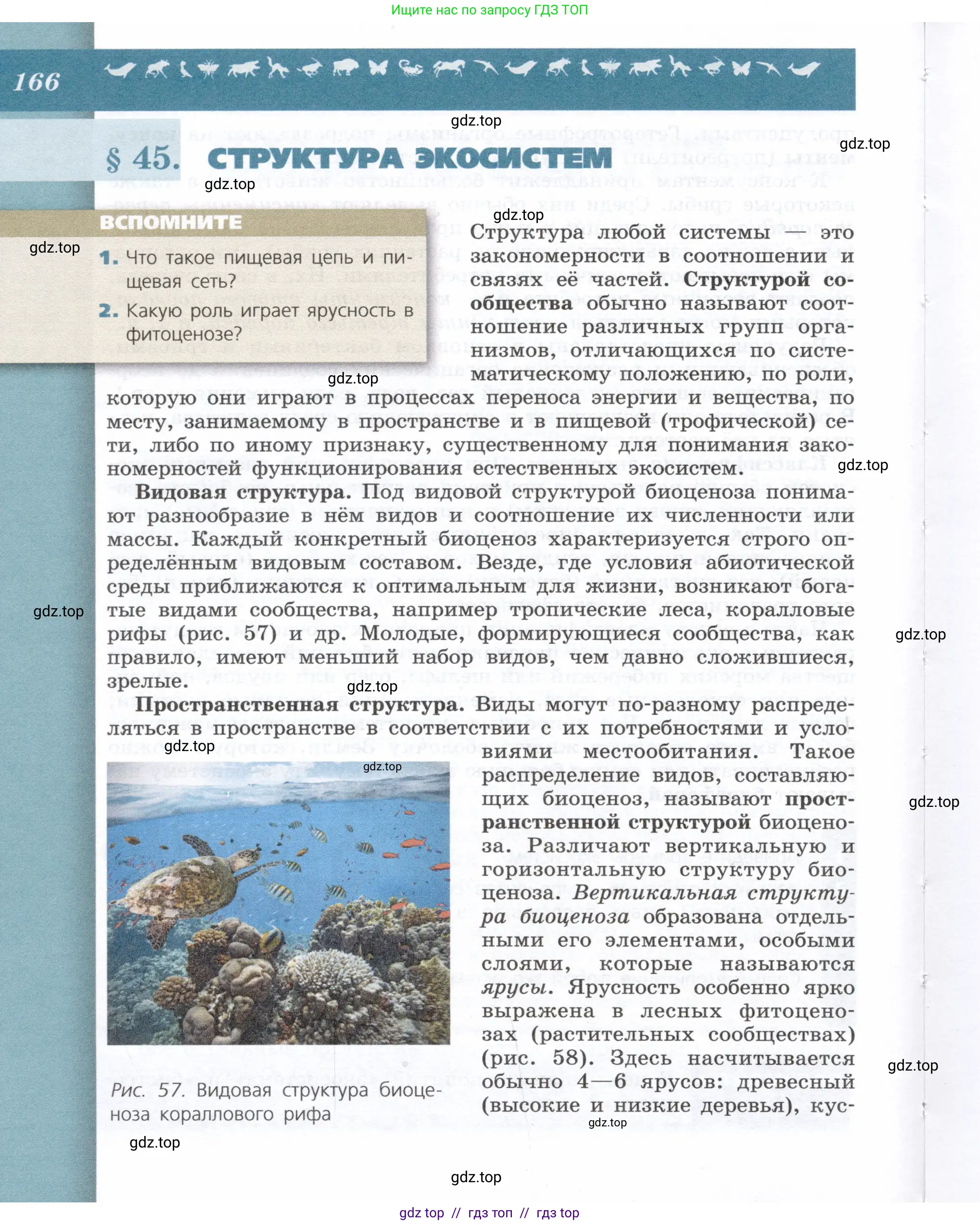 Биология, 9 класс Учебник, автор: Пасечник Владимир Васильевич, издательство Просвещение, Москва, 2019, страница 166