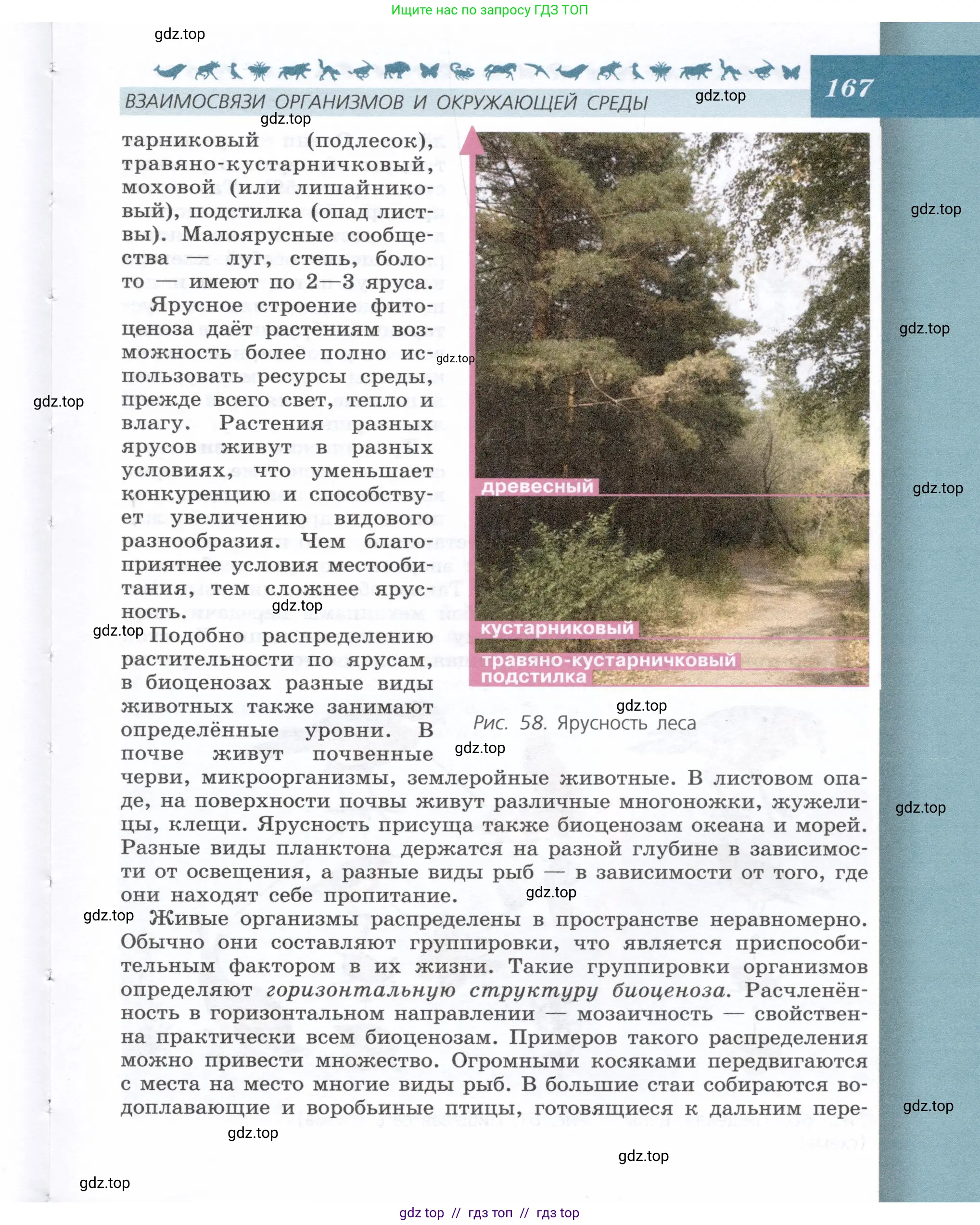Биология, 9 класс Учебник, автор: Пасечник Владимир Васильевич, издательство Просвещение, Москва, 2019, страница 167