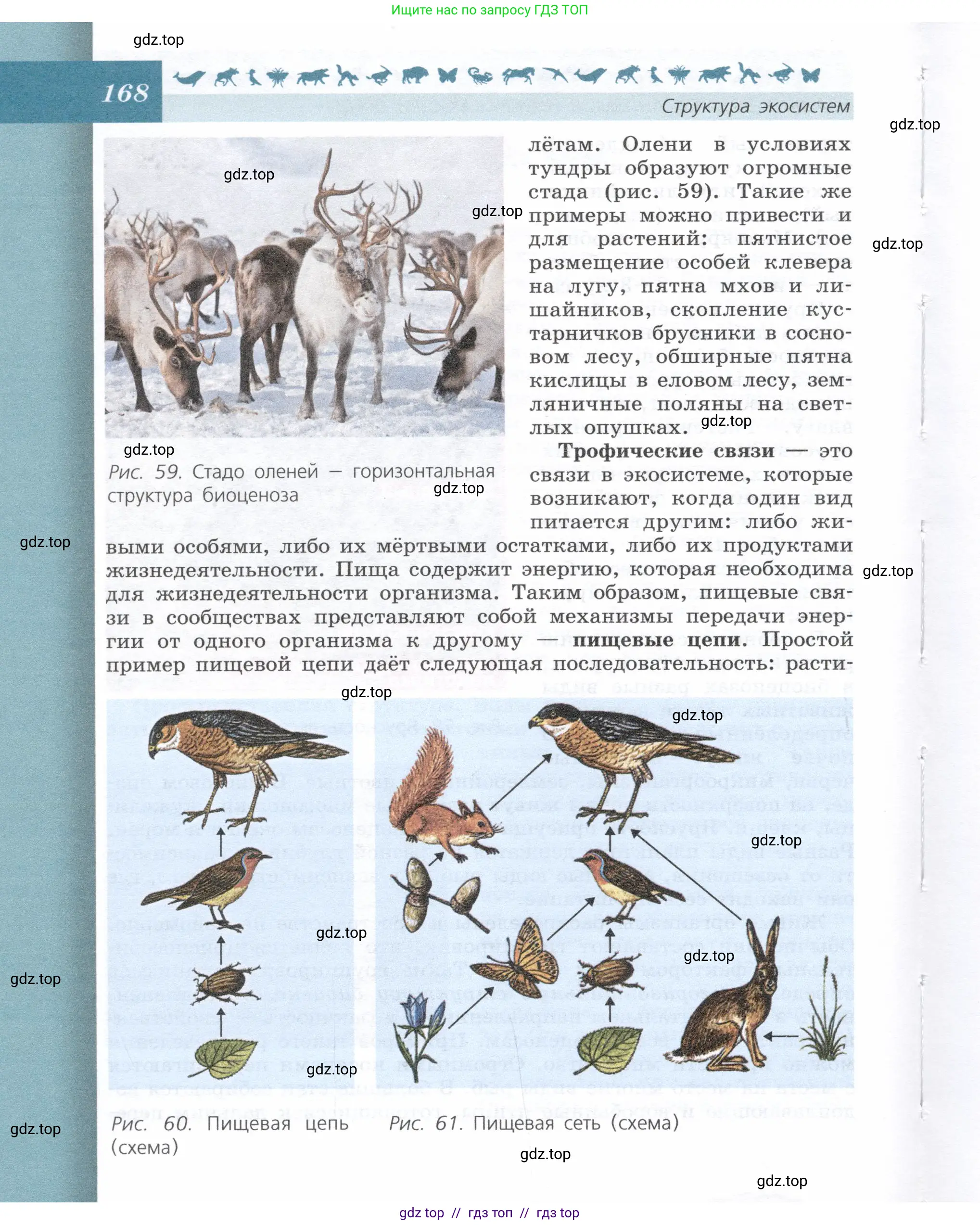 Биология, 9 класс Учебник, автор: Пасечник Владимир Васильевич, издательство Просвещение, Москва, 2019, страница 168