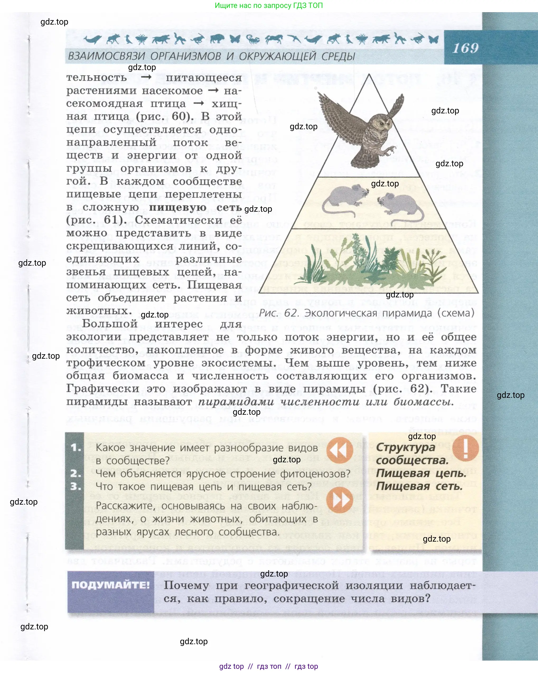 Биология, 9 класс Учебник, автор: Пасечник Владимир Васильевич, издательство Просвещение, Москва, 2019, страница 169