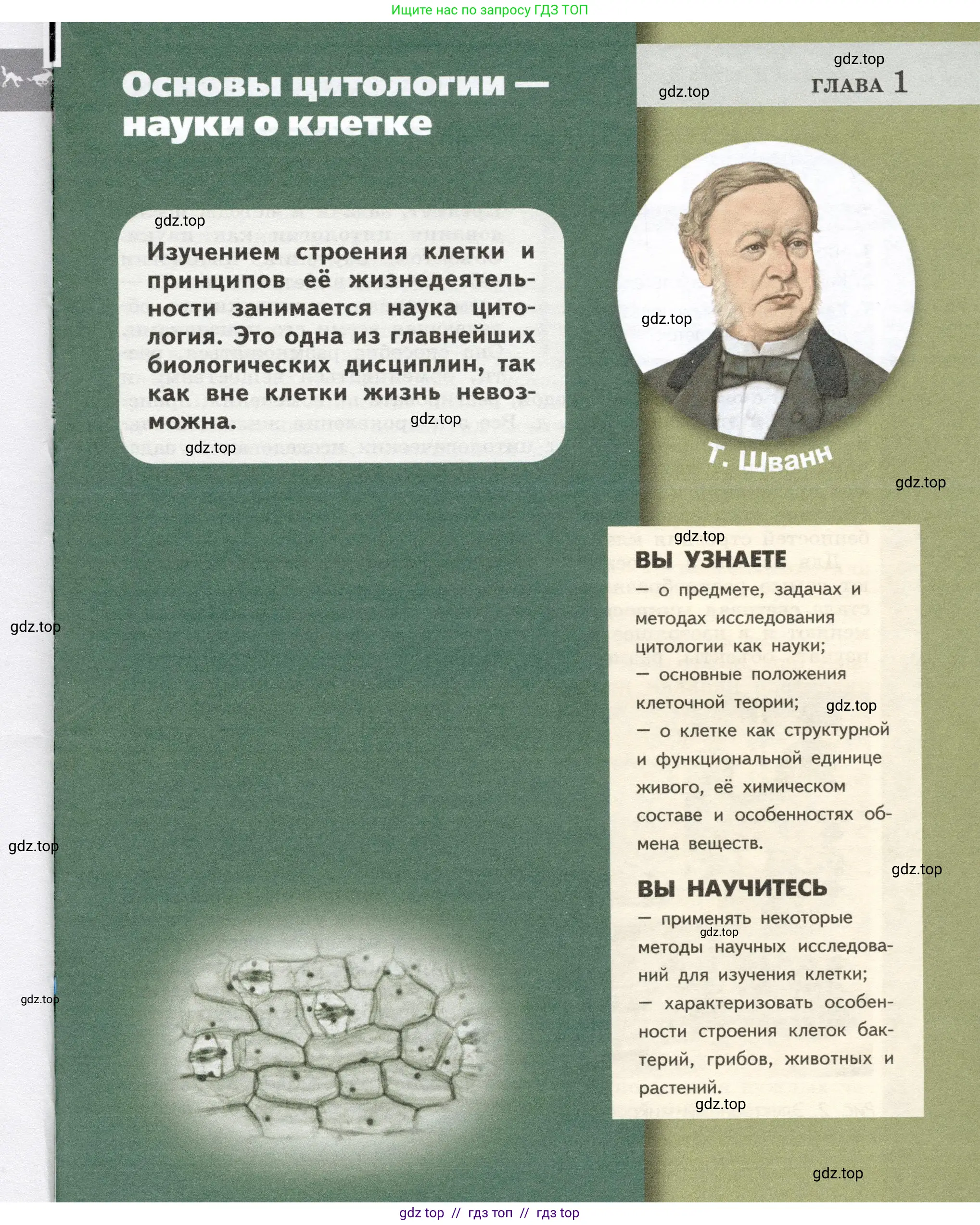 Биология, 9 класс Учебник, автор: Пасечник Владимир Васильевич, издательство Просвещение, Москва, 2019, страница 17