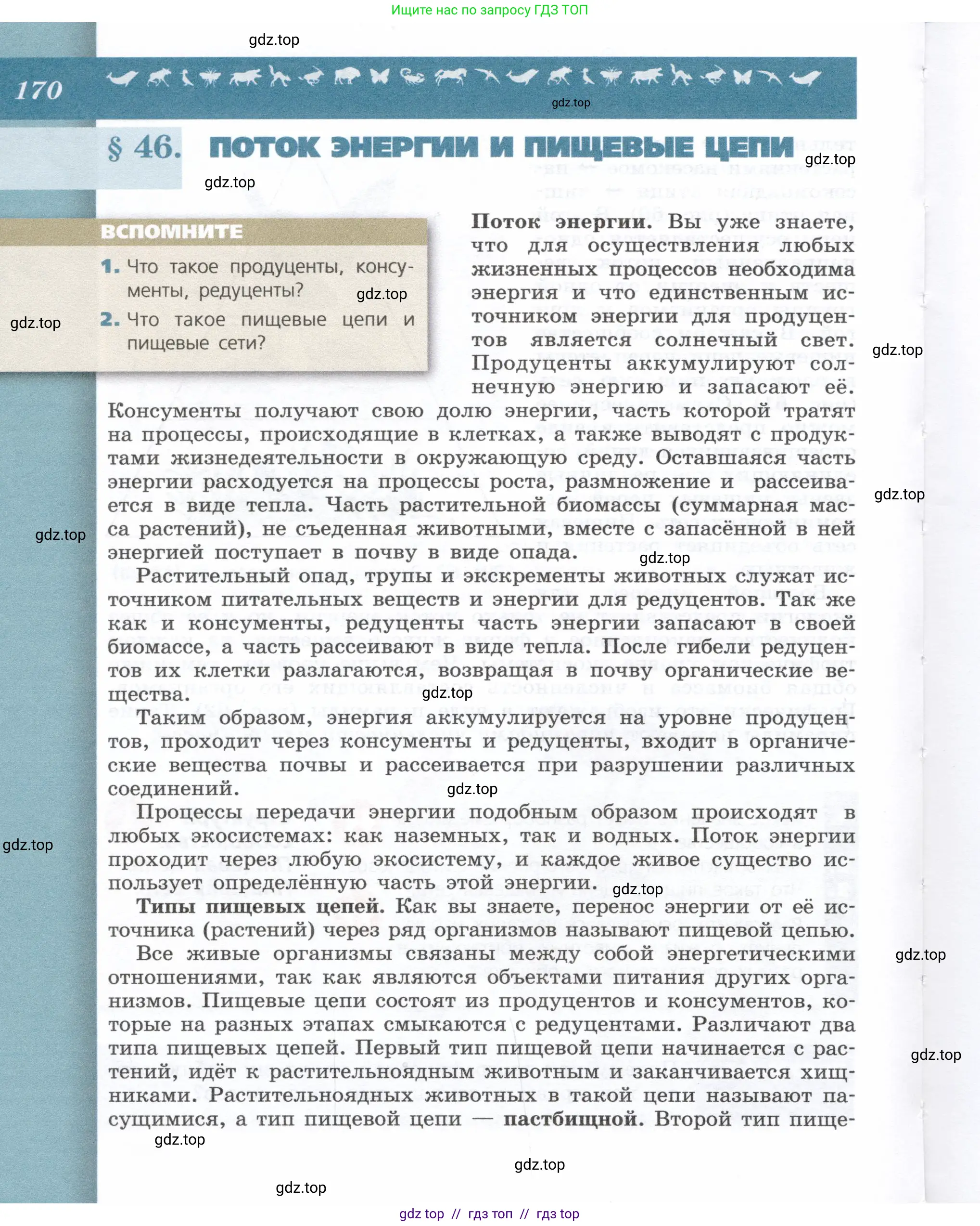 Биология, 9 класс Учебник, автор: Пасечник Владимир Васильевич, издательство Просвещение, Москва, 2019, страница 170