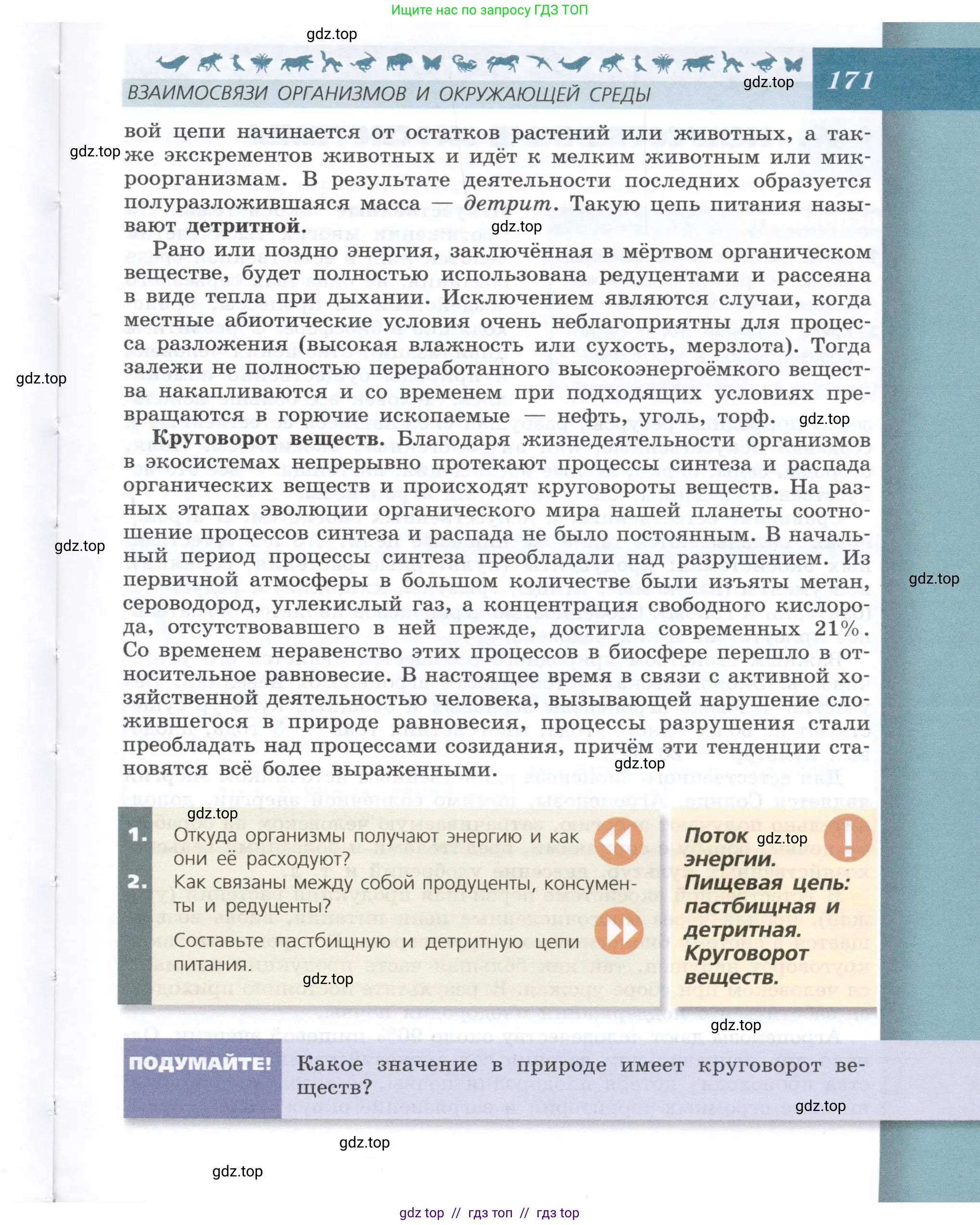 Биология, 9 класс Учебник, автор: Пасечник Владимир Васильевич, издательство Просвещение, Москва, 2019, страница 171